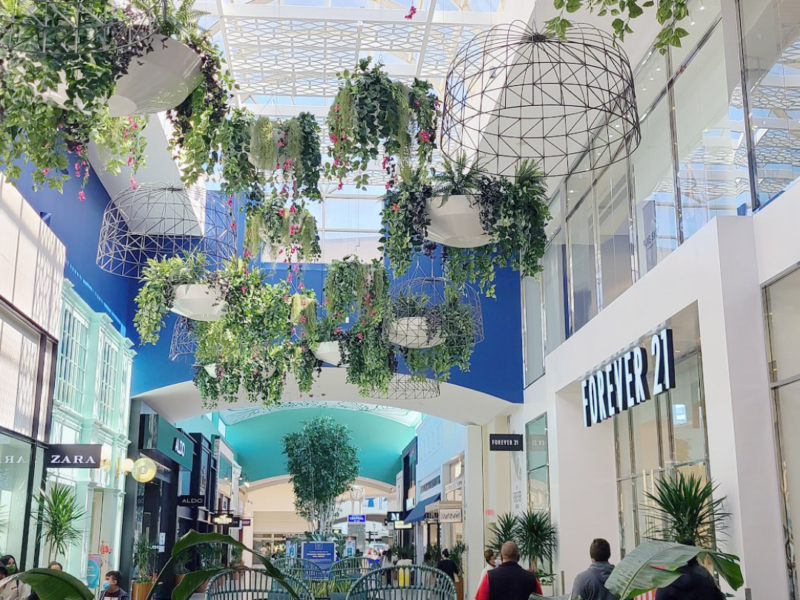 Houston Mall Replica Plants 2