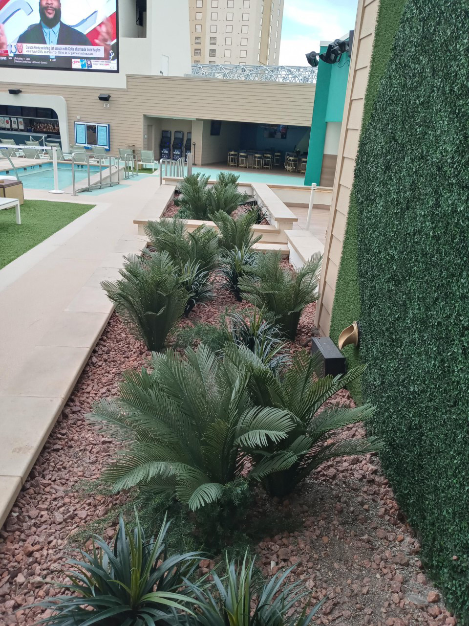Artificial Liriope Grass, succulents, and Sago Palms at Stadium Swim