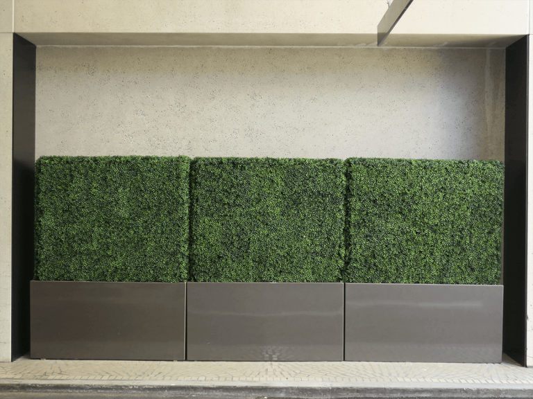 Artificial Boxwood Green Wall | TreeScapes & PlantWorks