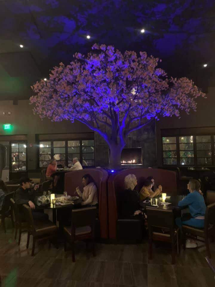 Dimly-lit Cherry blossom tree with diners at Okura Sushi Restaurant