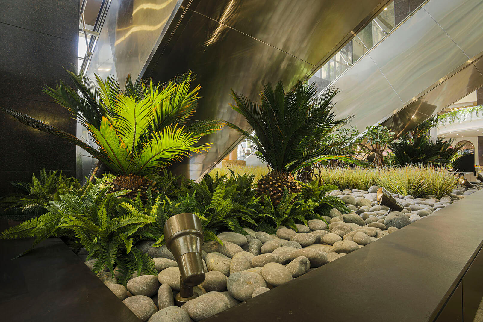 Preserved Sago Palm Trees under the escalators at Datran Business Center