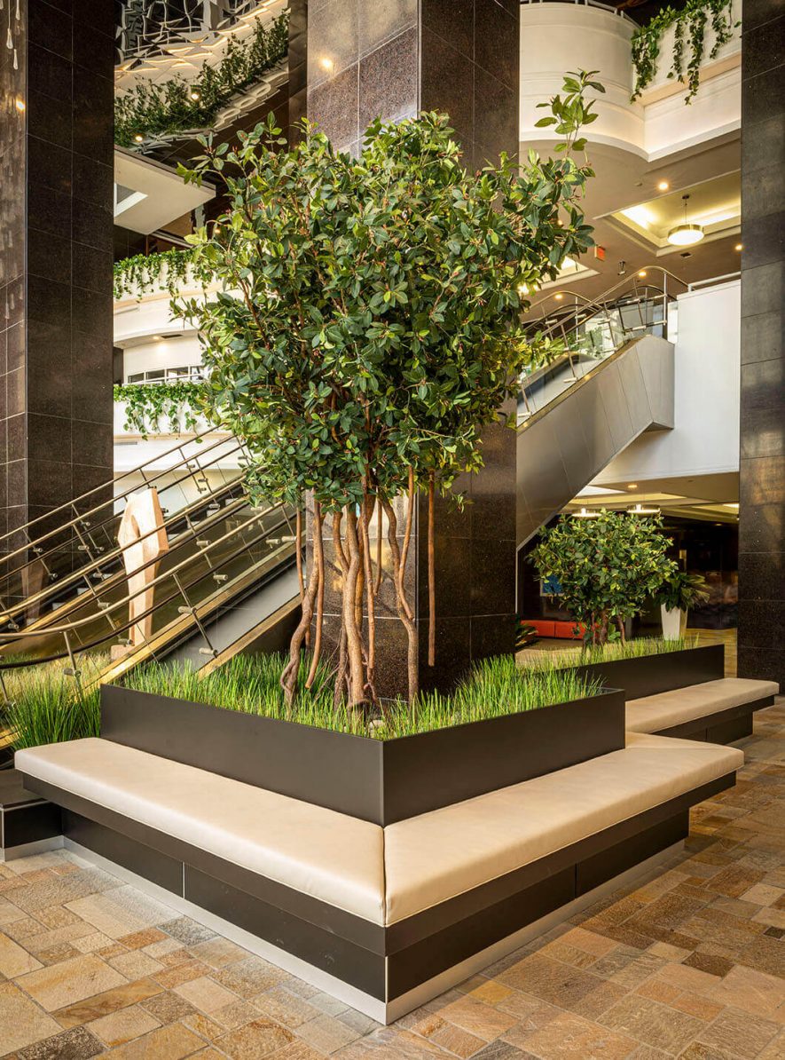 Artificial Mangrove Tree and Onion Grass between bench and escalator in Datran Business Center
