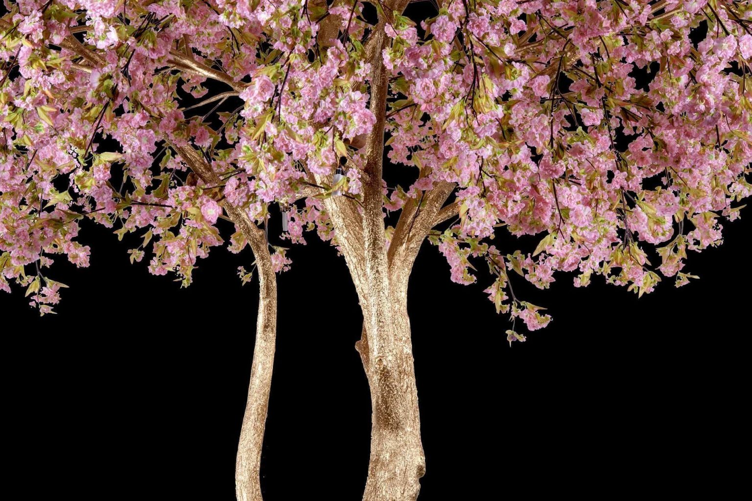 Golden Cherry Blossom Tree for Chinese New Year | TreeScapes &amp; PlantWorks