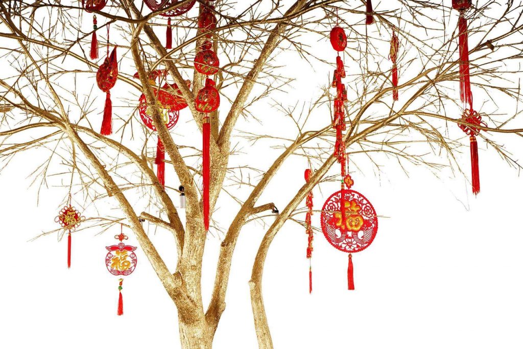 Golden Cherry Blossom Tree for Chinese New Year | TreeScapes &amp; PlantWorks