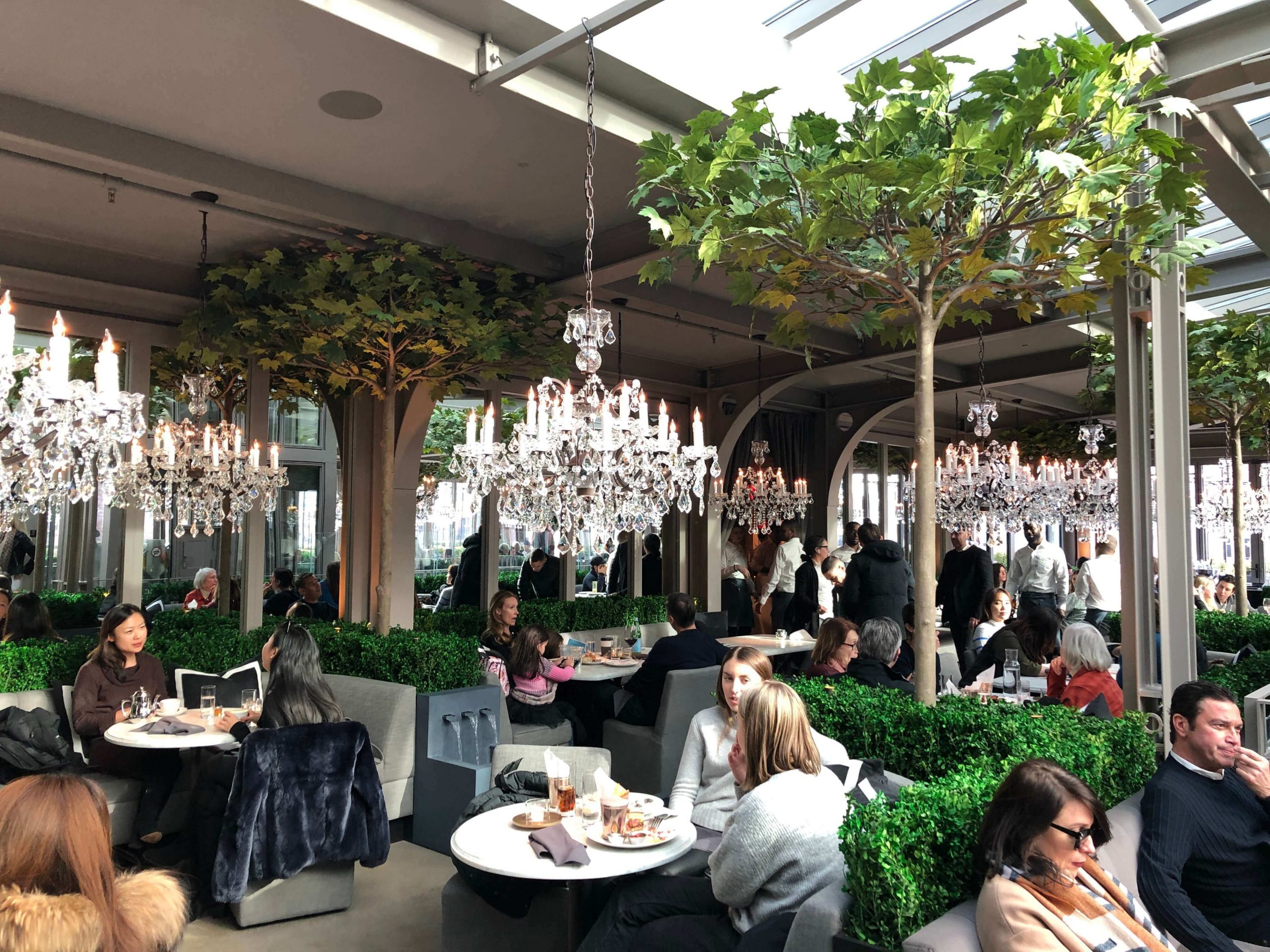 Fabricated London Planetrees and Boxwood Hedges in dining area at RH Restaurant New York