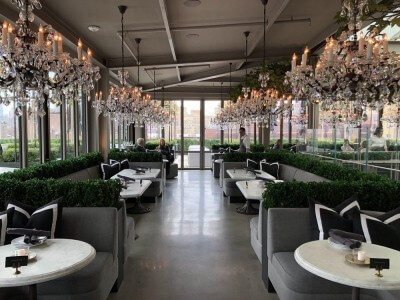 Arrangement of Preserved Boxwood Hedges in dining area of RH New York Restaurant
