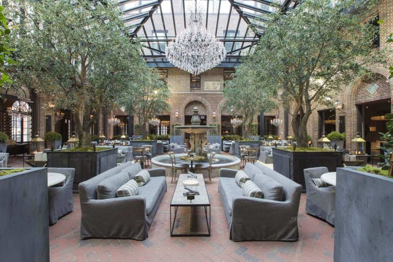 Mediterranean Olive Trees at RH Chicago TreeScapes