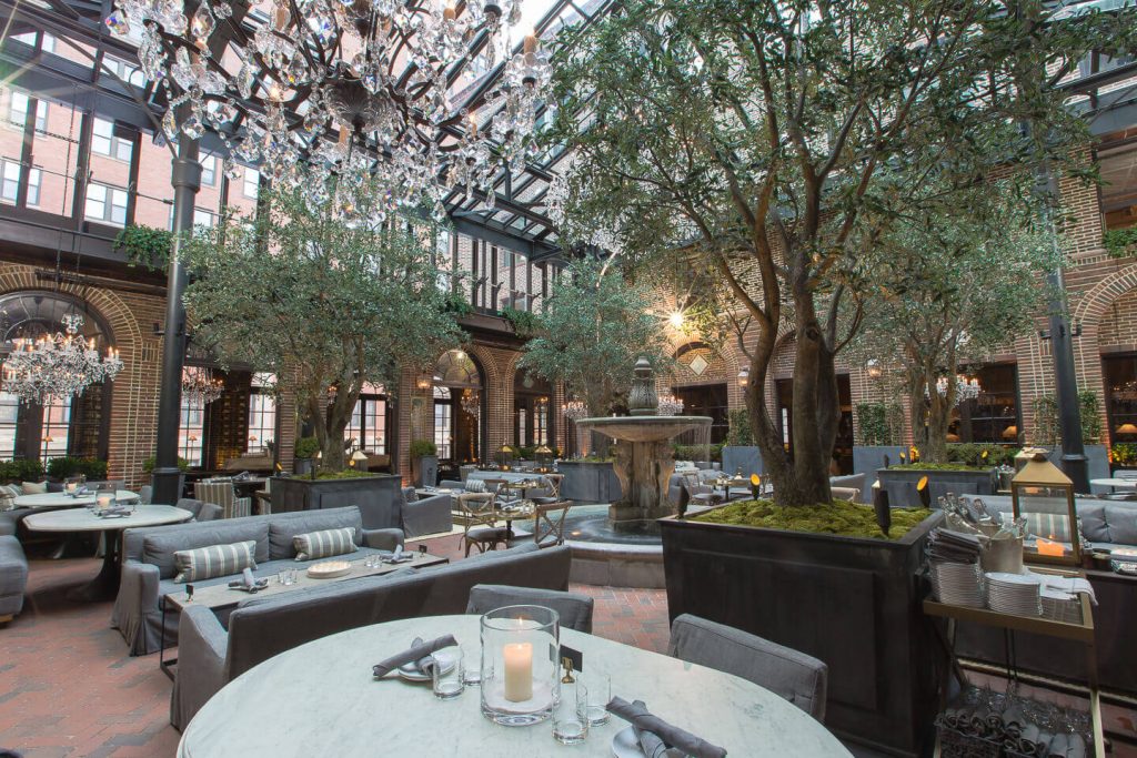 Mediterranean Olive Trees at RH Chicago TreeScapes