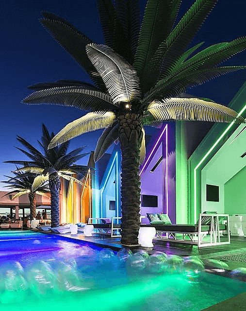 Exterior palm trees at matisse beach club