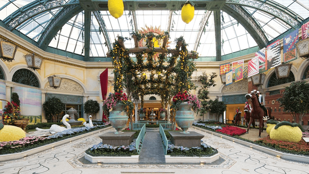 Wide angle view of Faux lemons at the Bellagio Conservatory