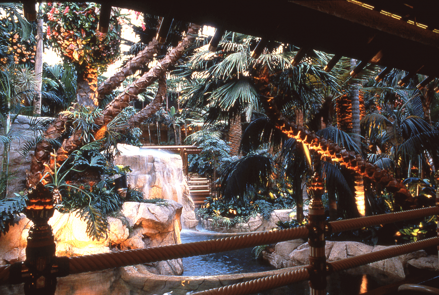 Preserved palm trees at the mirage