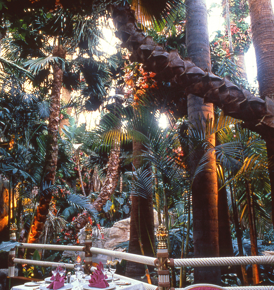 Preserved palm trees at the mirage