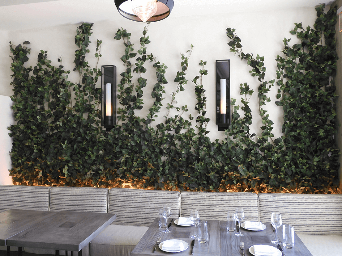 Replica ivy plants at Shark Restaurant