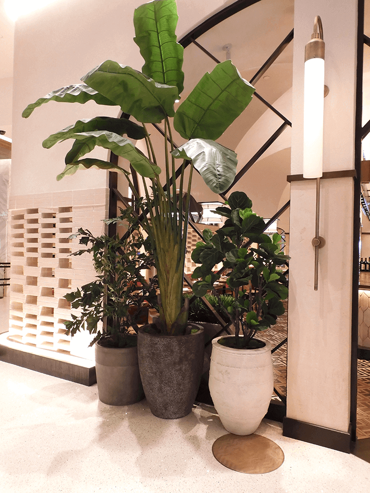 Replica Tropical plants at Shark Restaurant