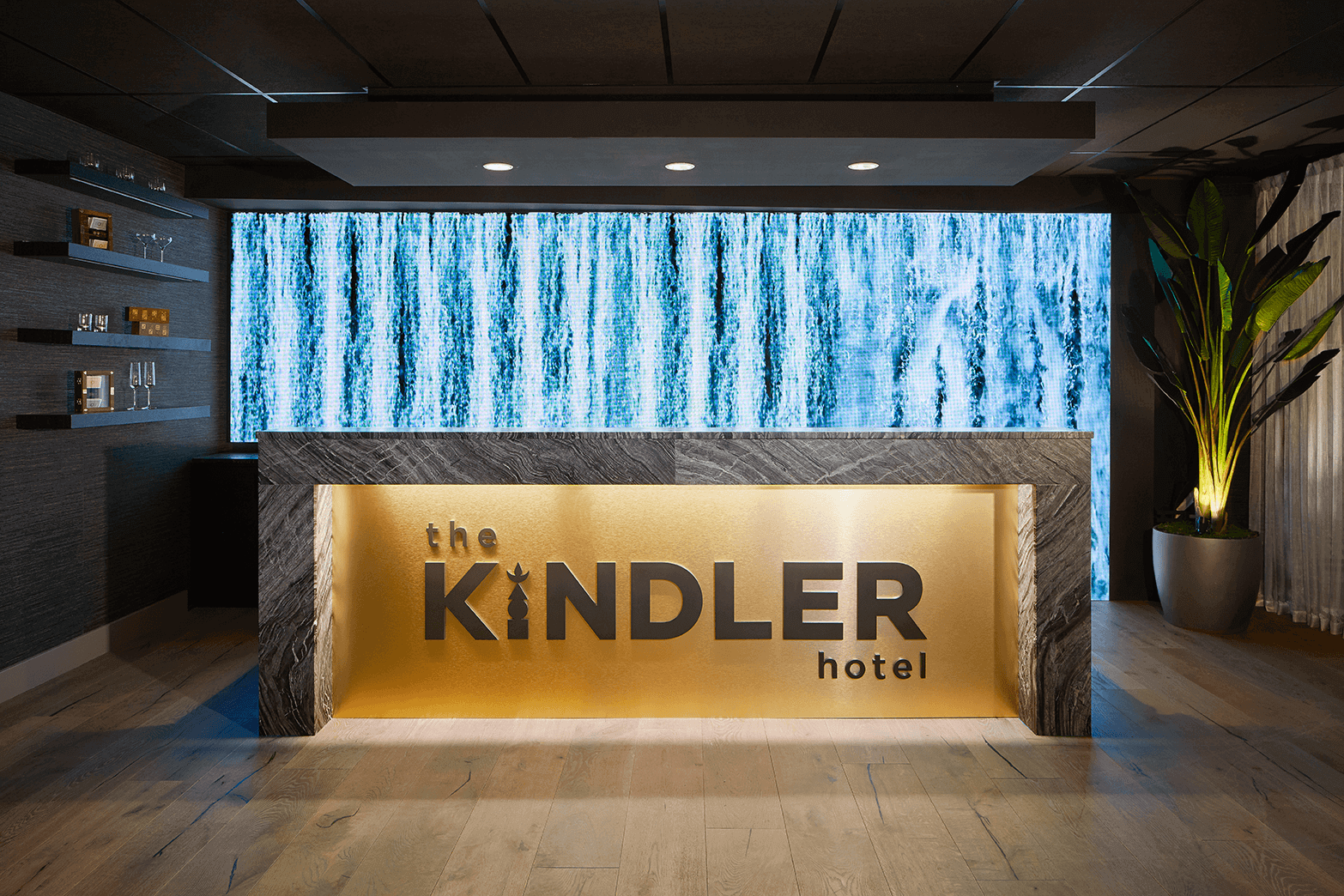 Replica traveler palms at the kindler hotel