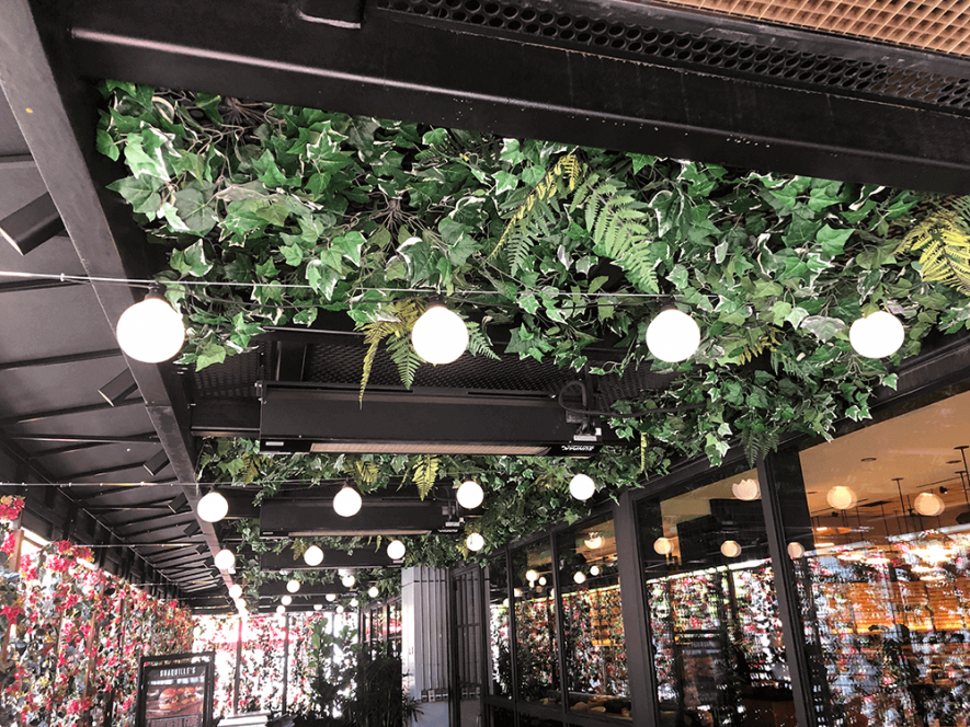Shaquilles Los Angeles Restaurant ivy ceiling in dining patio