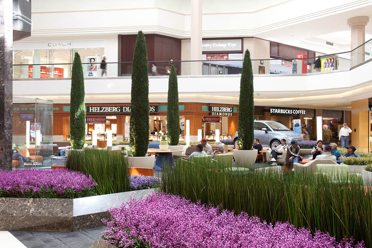 Plantscapes at sunvalley shopping center
