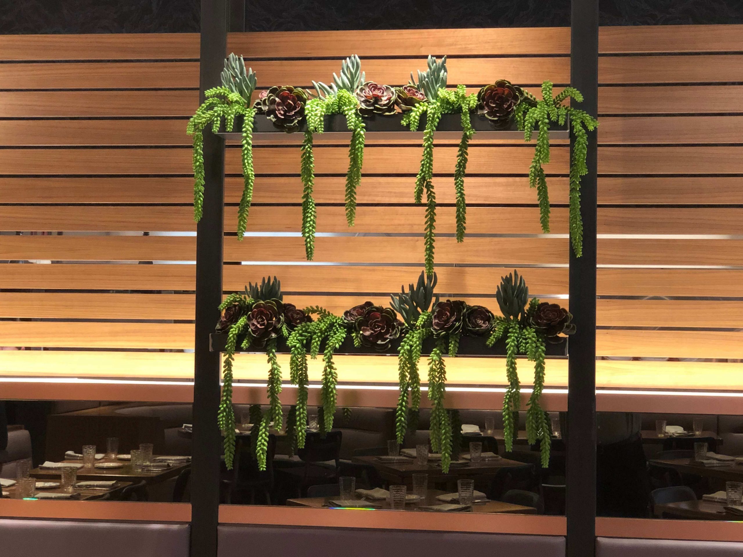 Tiered Faux succulents in Shaquilles Restaurant