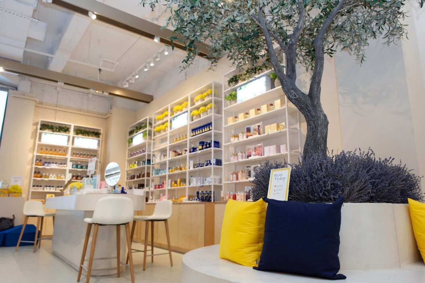 Mediterranean Olive Tree next to product display shelves at L’Occitane