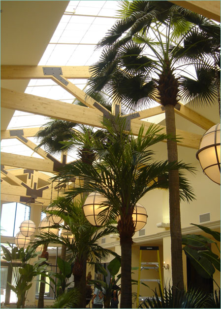 Palm trees & tropical plants for rhodes homes
