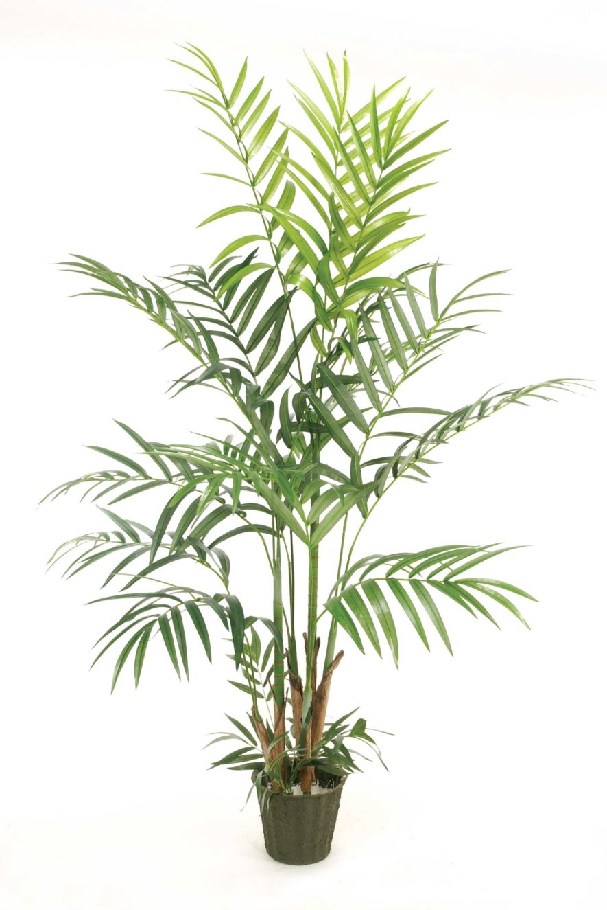 Replica Butterfly Palm Plant