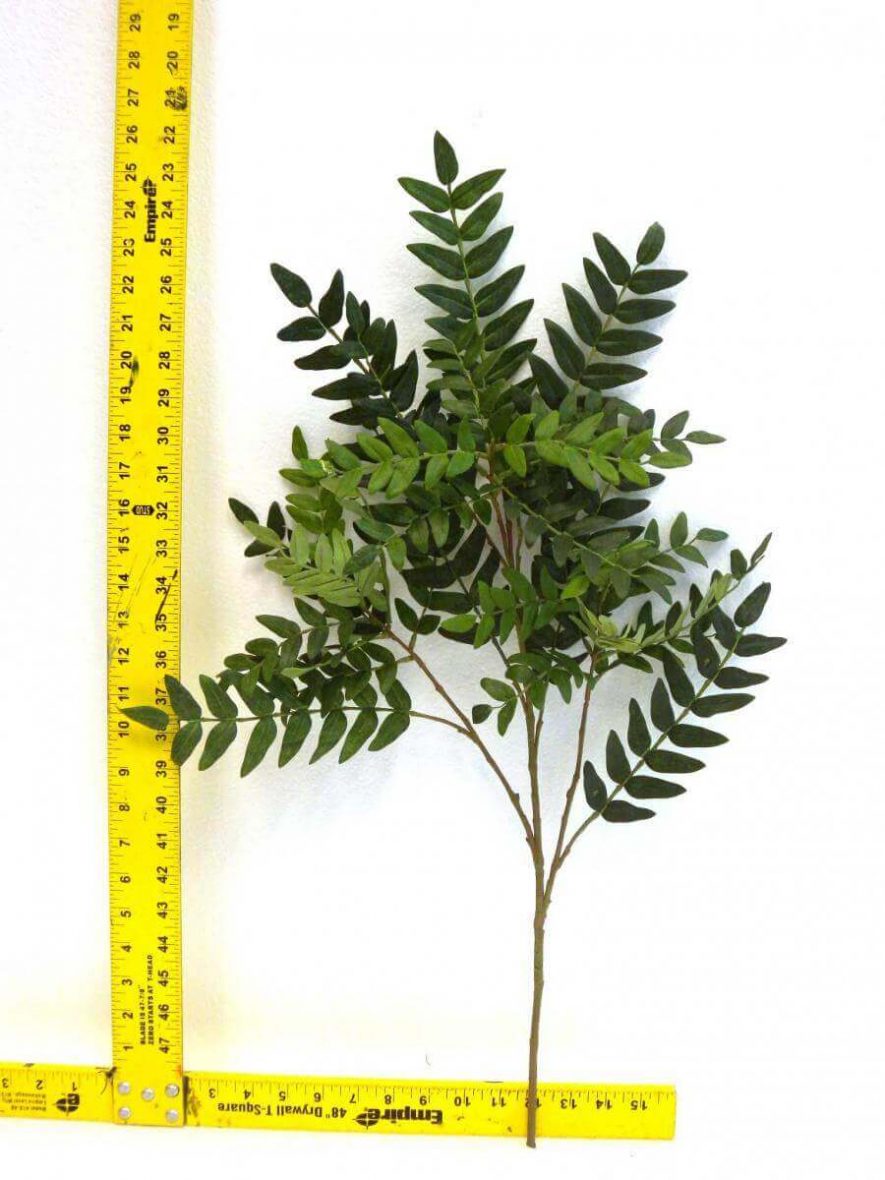 Replica Acacia Tree Foliage