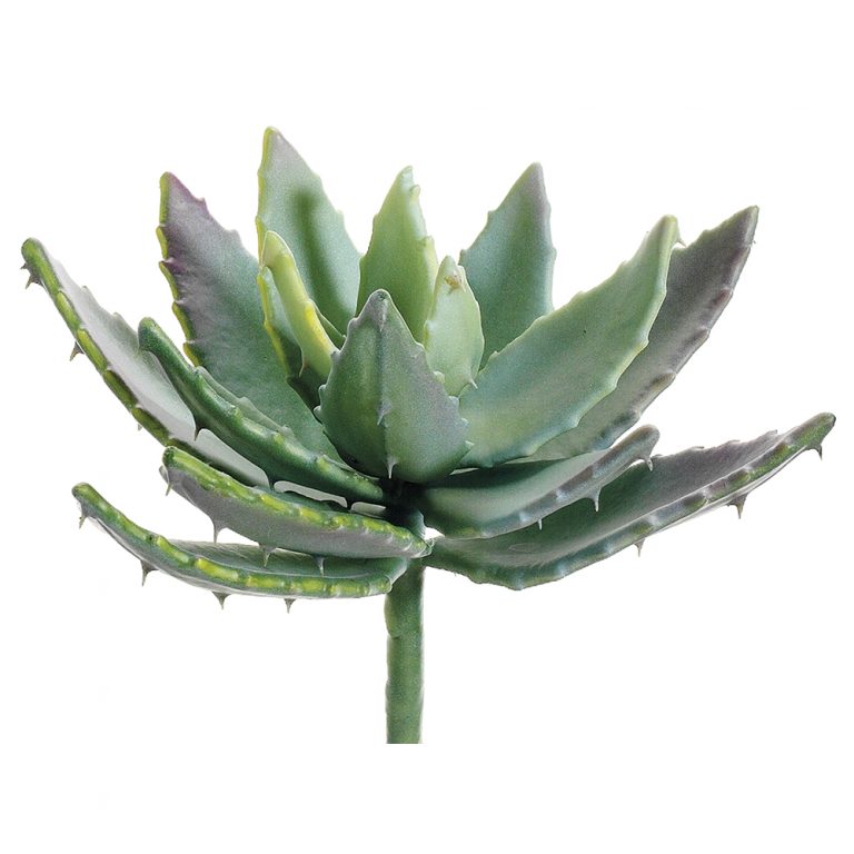 Artificial Aloe Plant | TreeScapes & PlantWorks