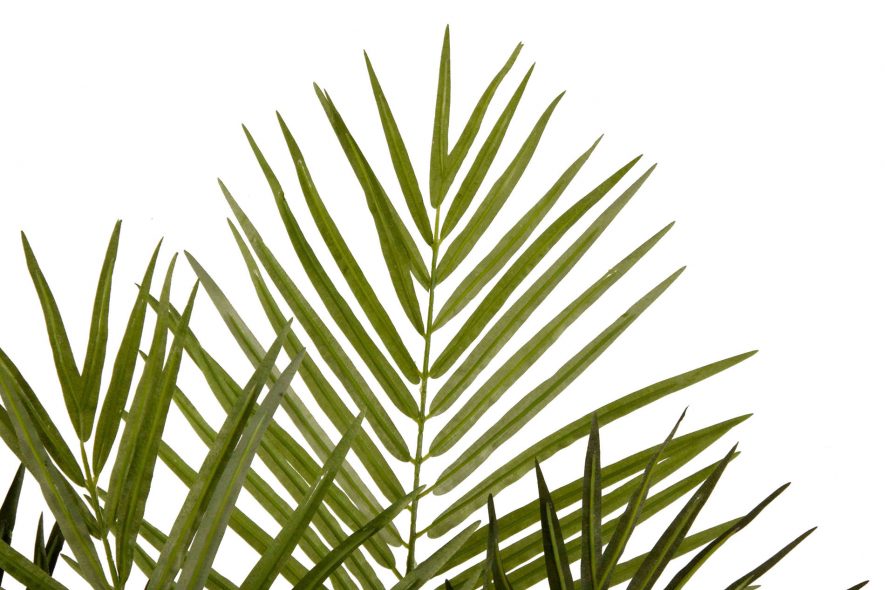Replica Areca Palm Tree Foliage