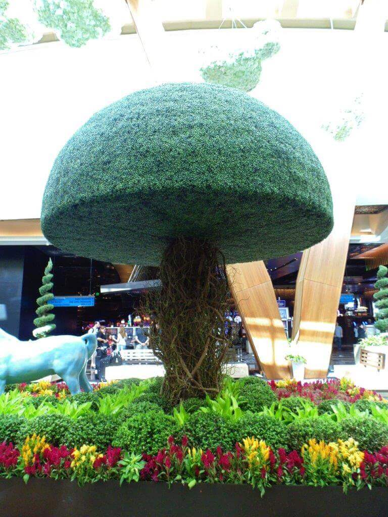 Boxwood Topiary Tree for Aria Resort & Casino