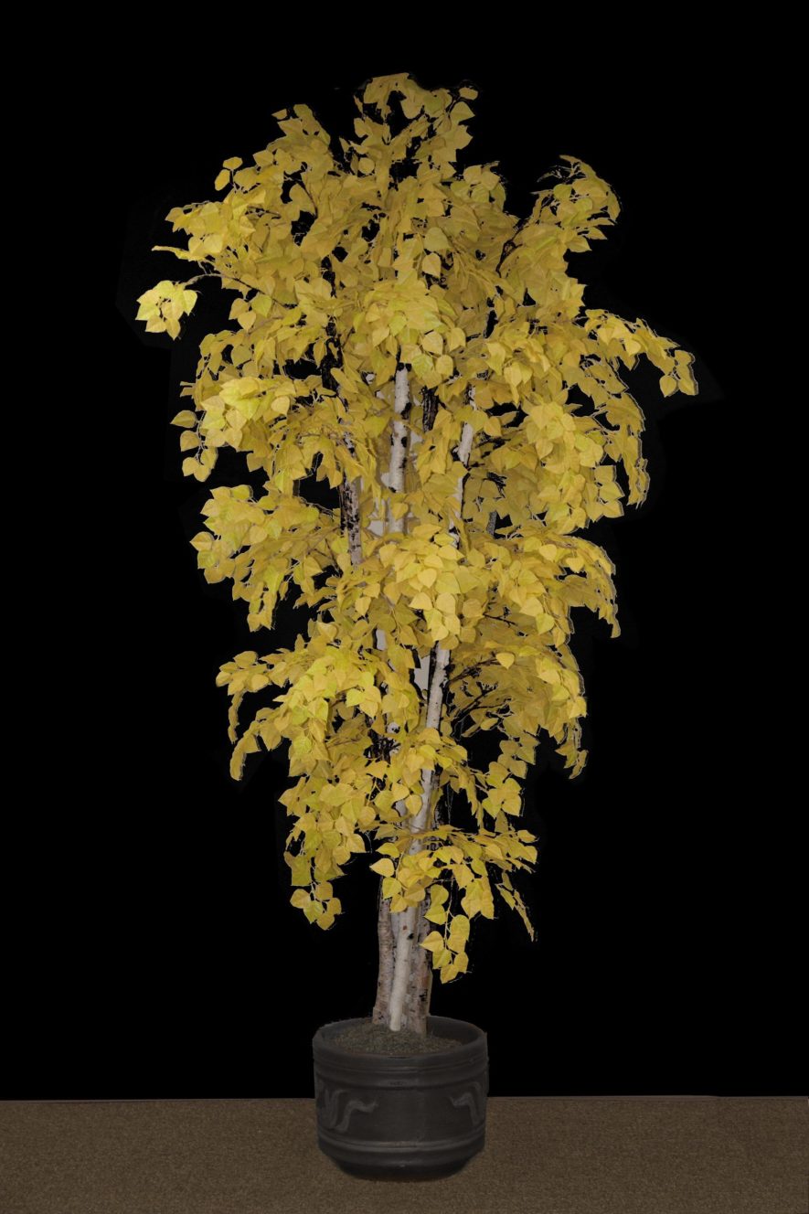 Replica Yellow Aspen Tree