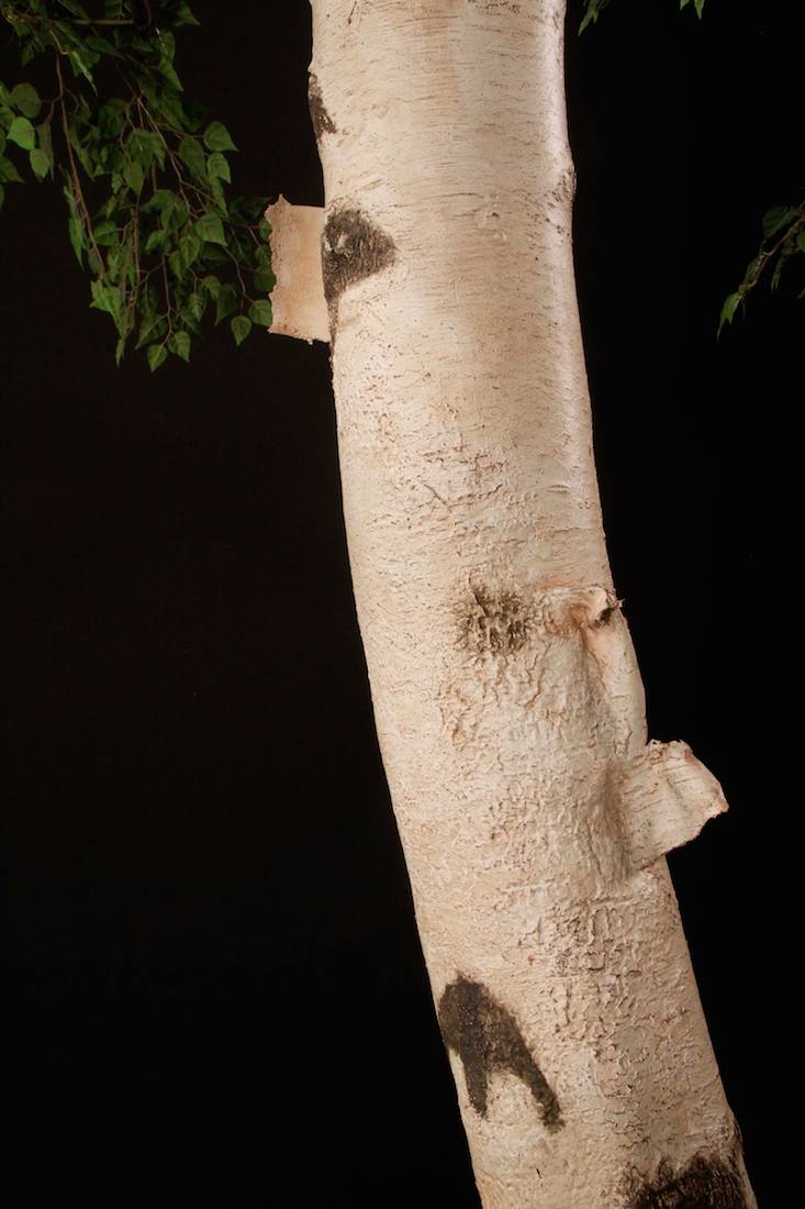 Artificial Birch Tree | Treescapes & Plantworks