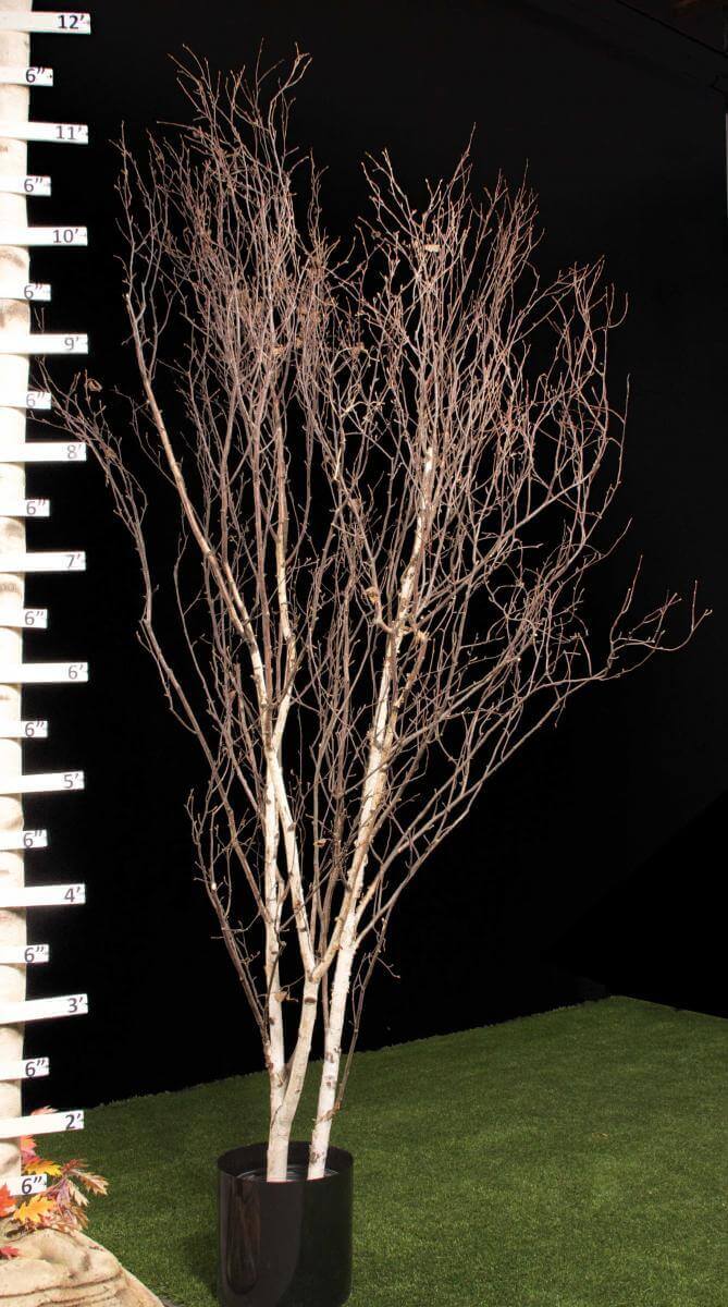 Replica Winter Birch Tree - No Foliage