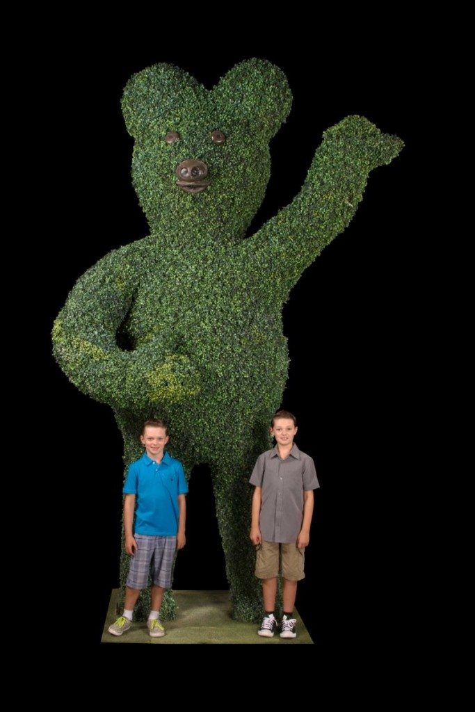 Replica Boxwood Bear Shape Topiary
