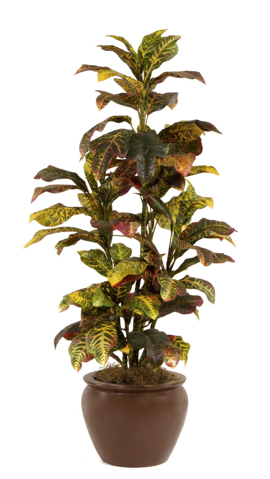 Replica Croton Plant