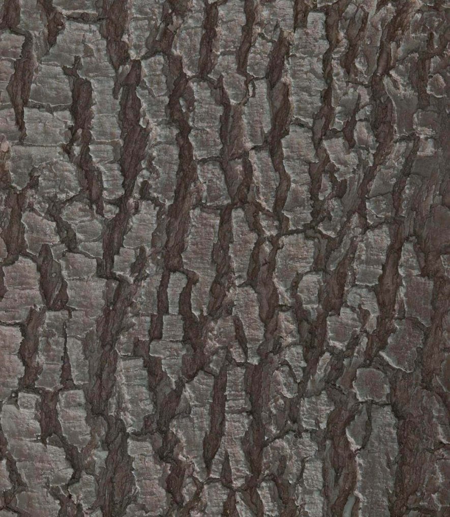 Fabricated Dogwood Tree Bark