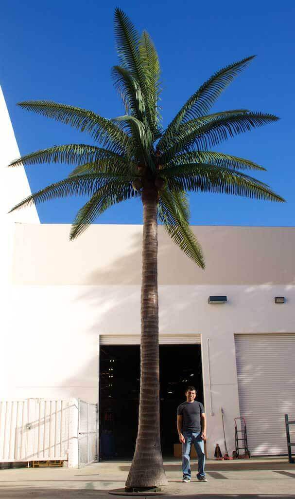 Fabricated Coconut Palm Tree