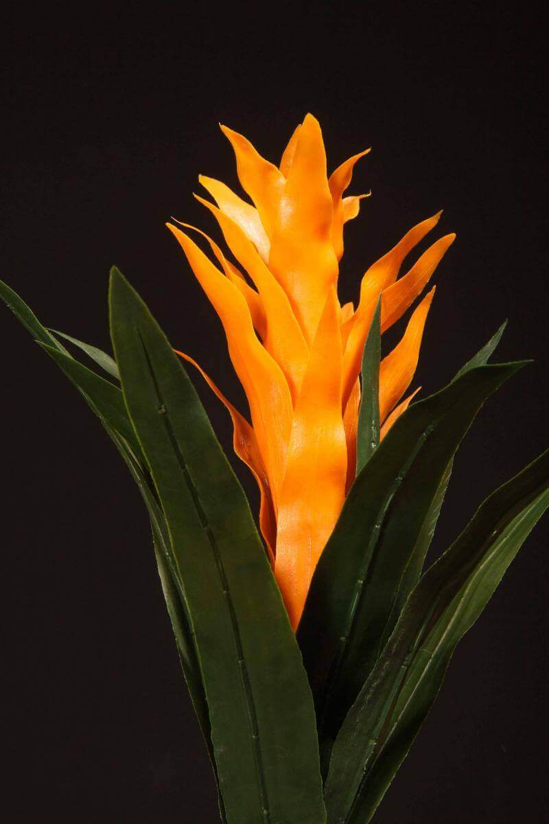 Fabricated Orange Bromeliad Flower