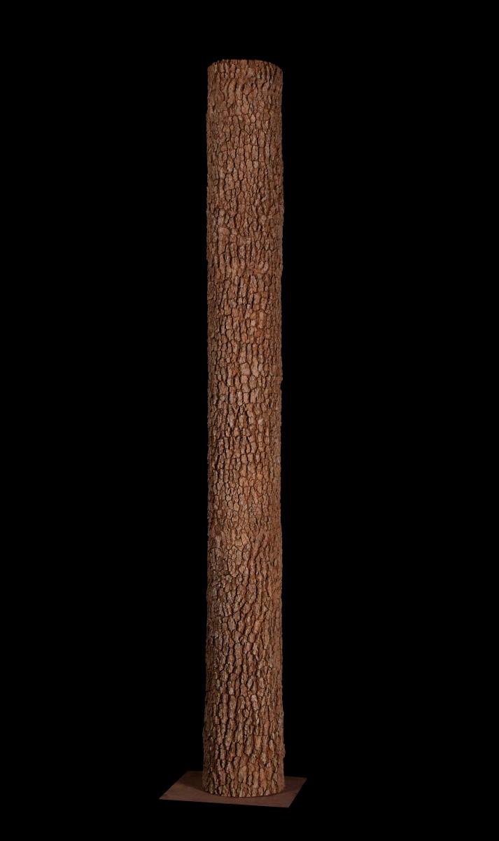 Fabricated Live Oak Tree Trunk Concealment Column Wrap