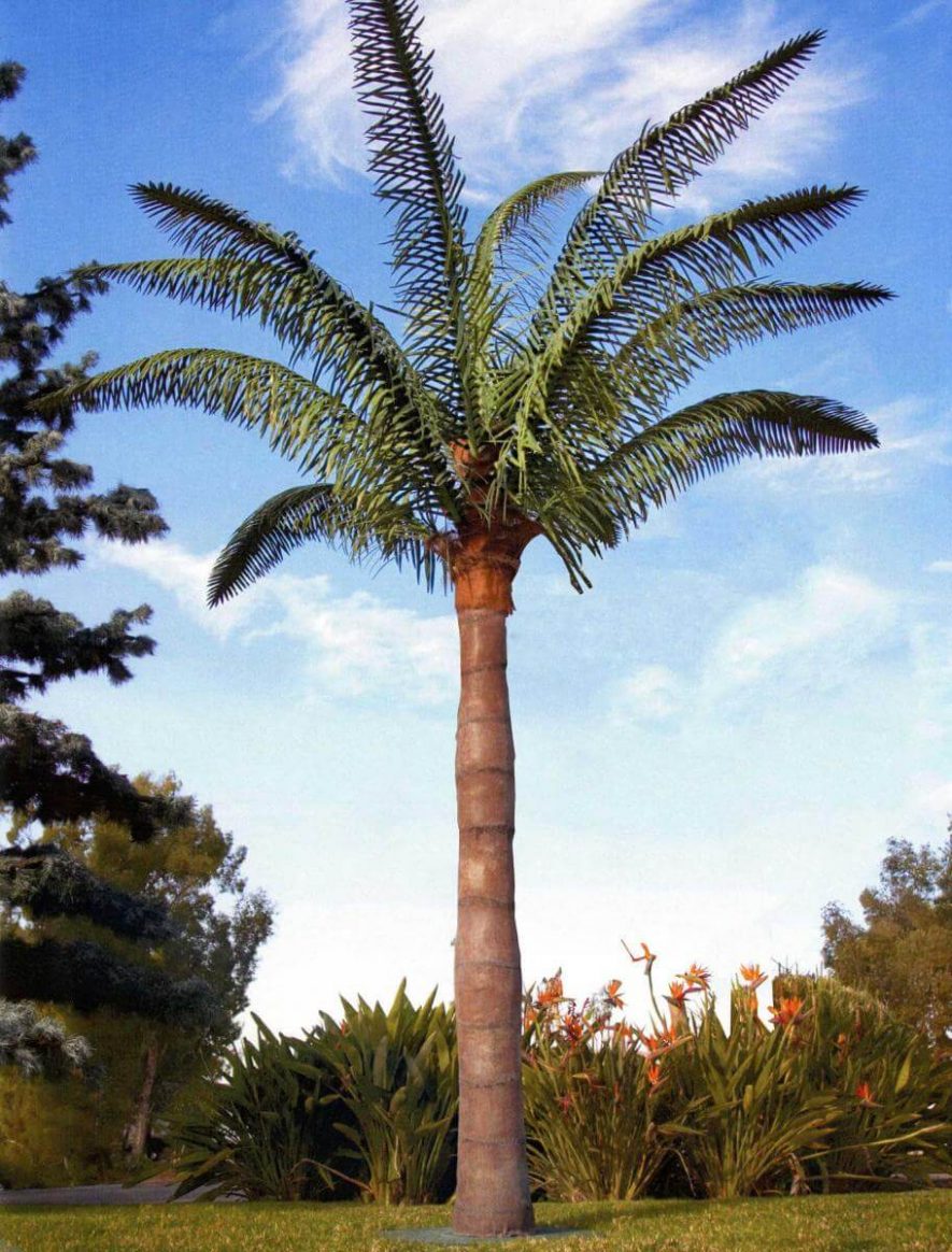 Fabricated Queen Palm Tree