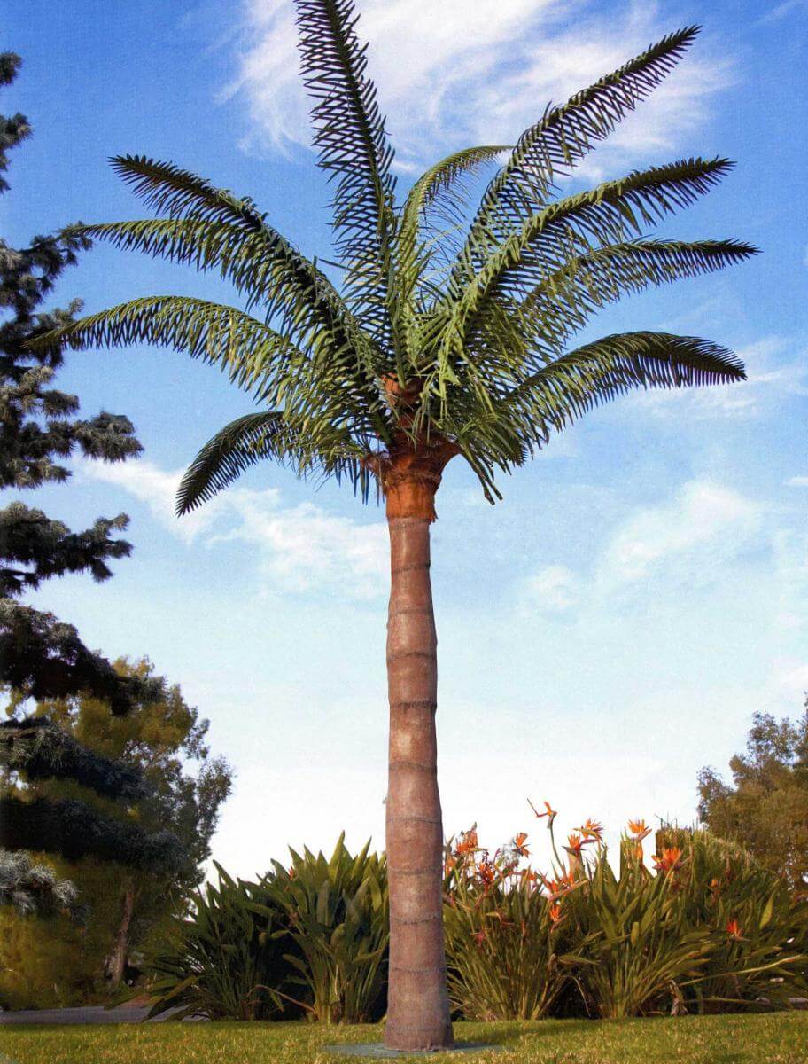 Artificial Palm Tree   TreeScapes & PlantWorks