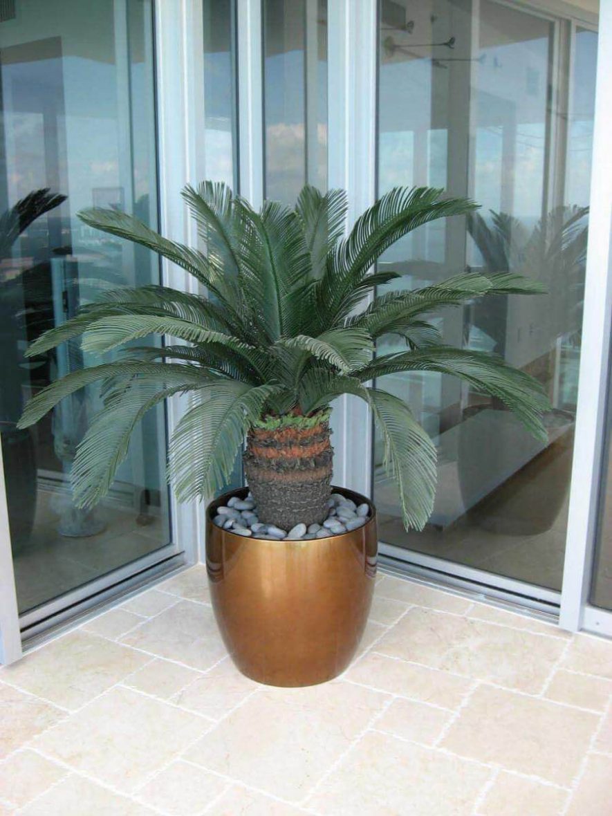 Fabricated Sago Palm Tree