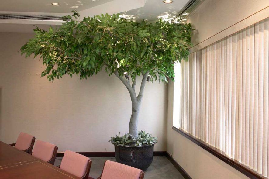 Fabricated Ficus Tree