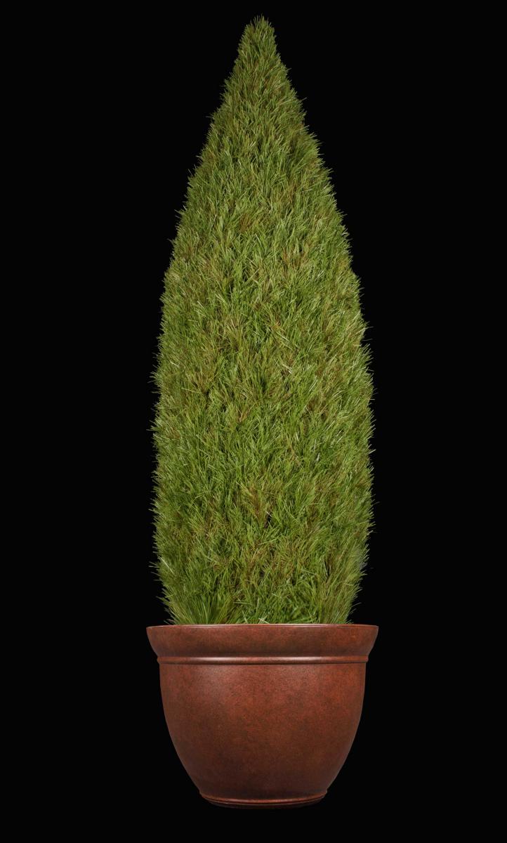 Fabricated Italian Cypress Style Conical Topiary Concealment Wrap