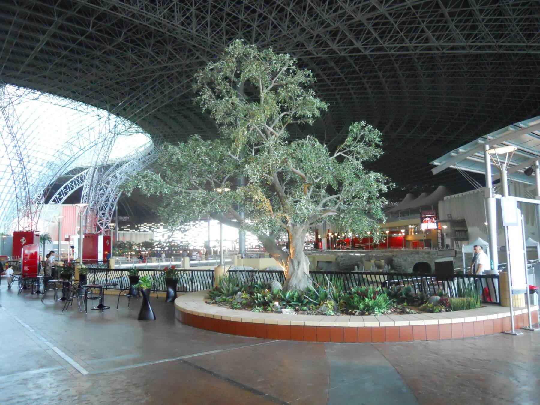 Fabricated Mediterranean Olive Tree at Ferrari World Theme Park