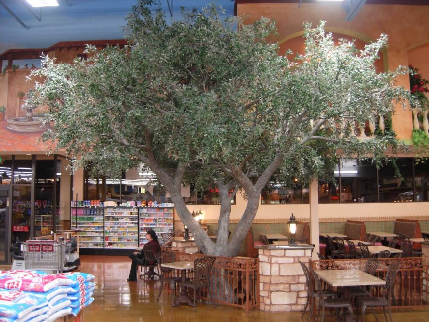 Fabricated Mediterranean Olive Tree