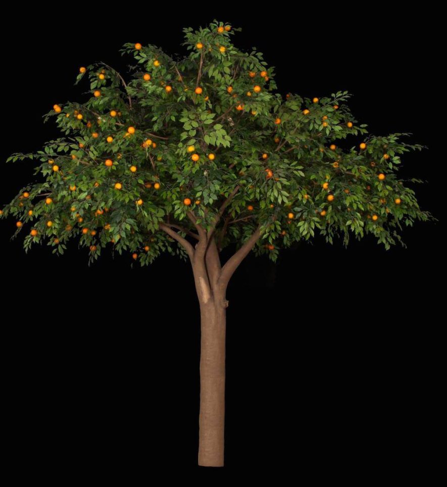 Fabricated Orange Tree 14x14