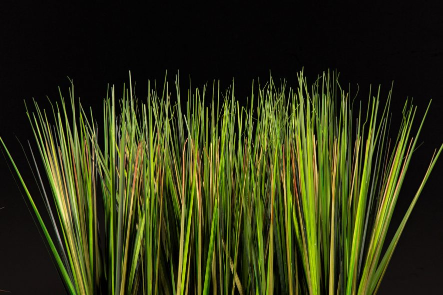 Replica Formal Blade Grass