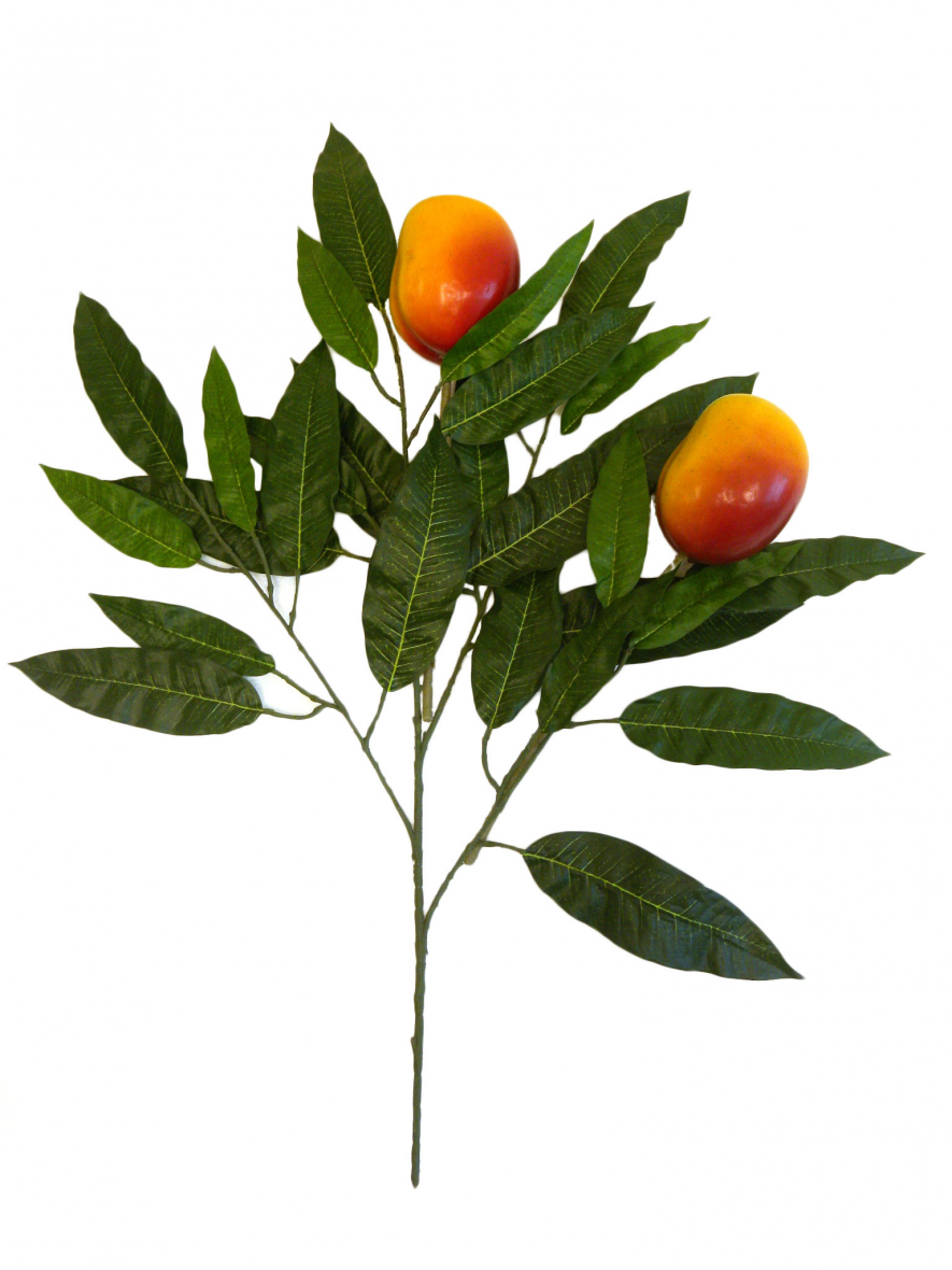 Fabricated Mango Tree Fruit Foliage