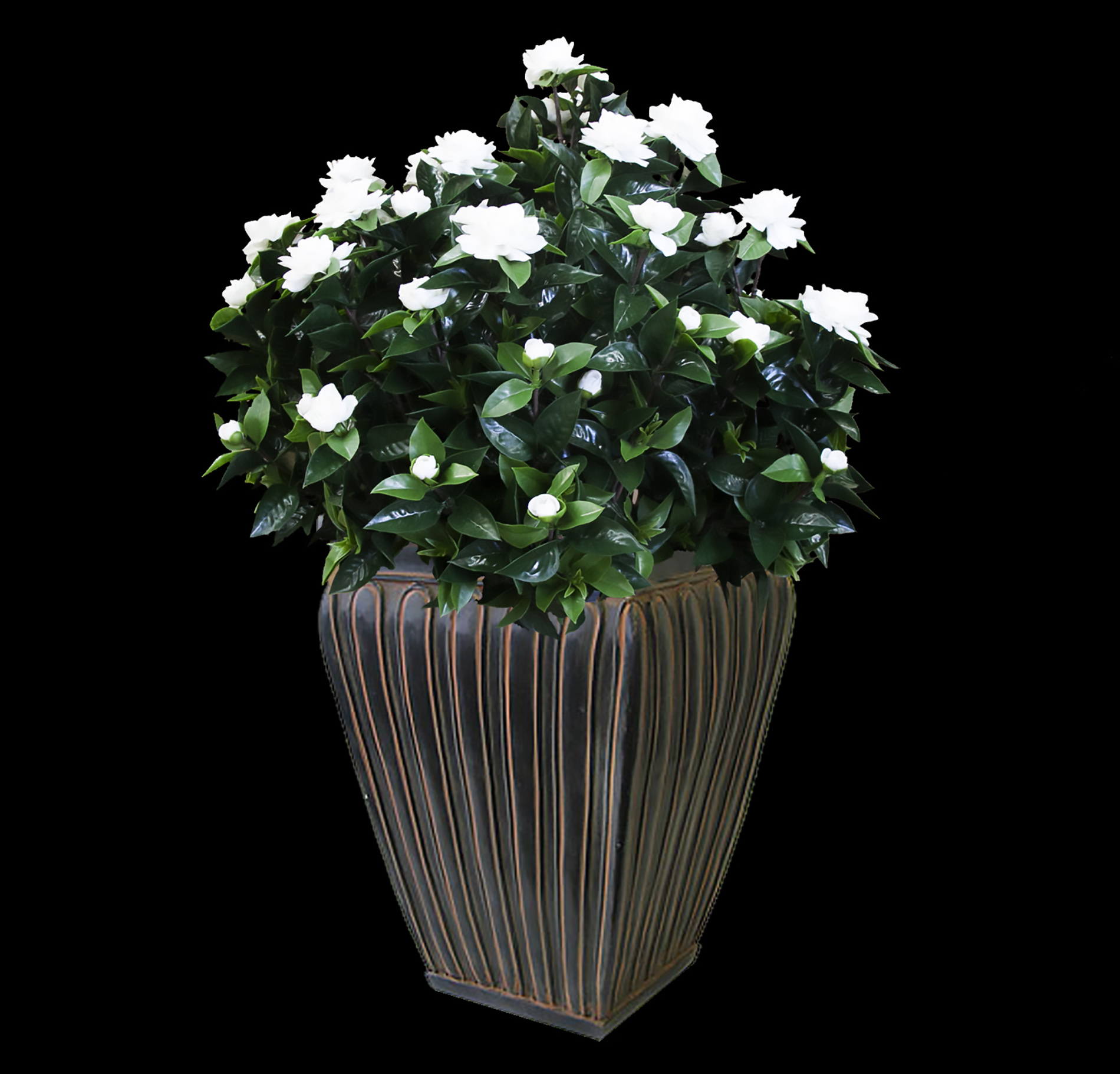 Artificial Gardenia Plant | TreeScapes & PlantWorks