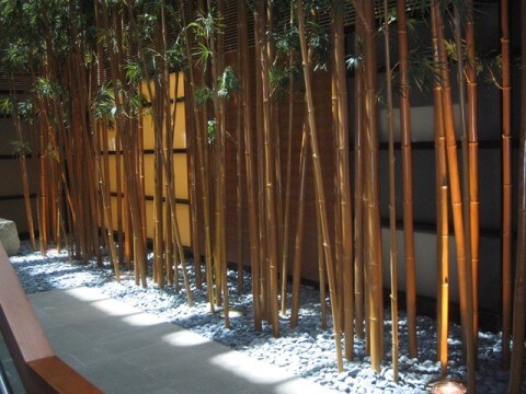 Golden bamboo cane